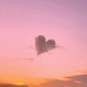 男模全身脱的精光GαyGAY
